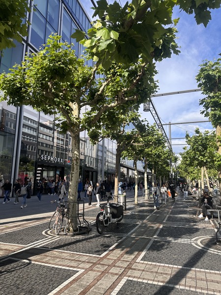 Tree-lined street with architecture
