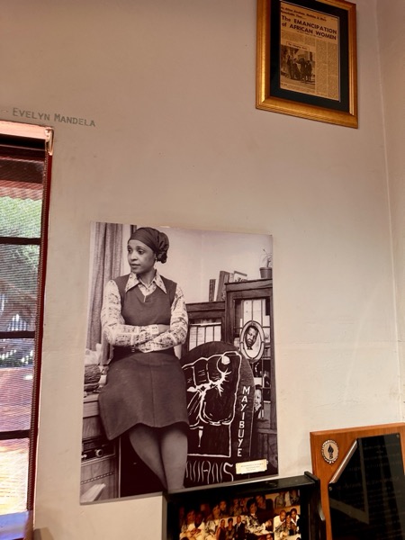 Evelyn Mandela portrait